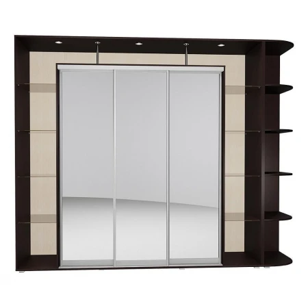 Шкаф-купе Мебелайн-24