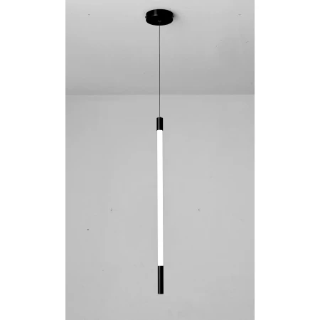 D8961-1 BLACK (1/12) Подвесной светильник RL 