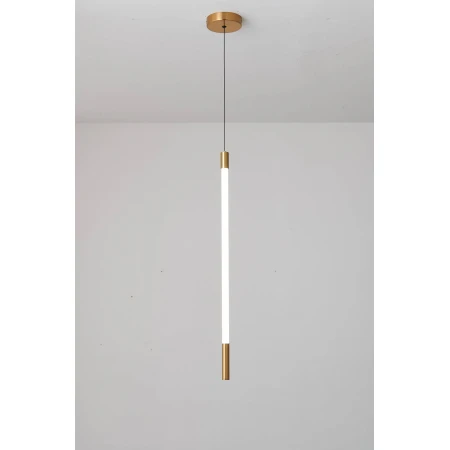 D8961-1 GOLD (1/12) Подвесной светильник RL 