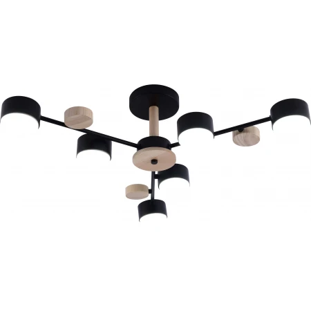 GX3758-6 BK+WOOD (1) Люстра RL 