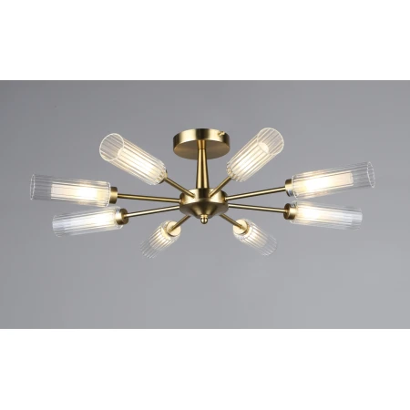 6979/8 COP (1) Люстра RL 