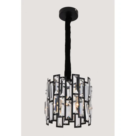 89012/1S BK (1) Люстра RL 