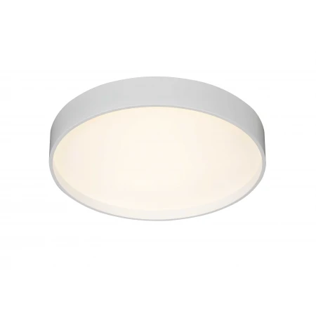 2541/600 WHITE (1) Потолочный светильник (RL) # 