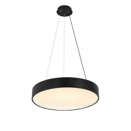 2541/400P BLACK (1) Подвесной светильник (RL) # 