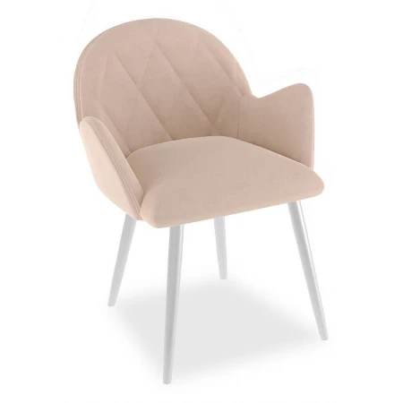 Стул DikLine 215