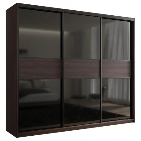 Шкаф-купе Кааппи 12 2100x450