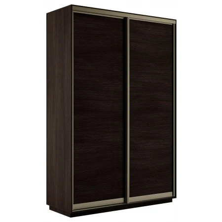 Шкаф-купе Экспресс Элемент дуо