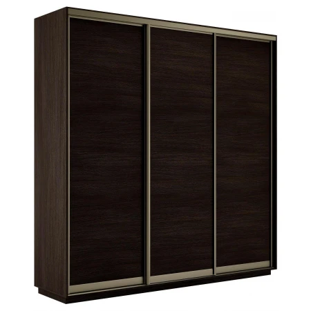 Шкаф-купе Экспресс Элемент трио