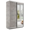 Шкаф-купе Экспресс Медиум дуо