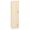 Шкаф платяной Toivo ТОЙ ШК 60/45 Д