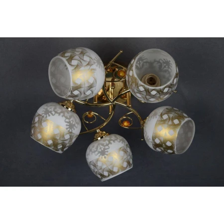 ДС629/5 (4) FG светильник потолочный [01075288]