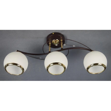 Т7211/3 (4) FGD+BK светильник потолочный [01073091]