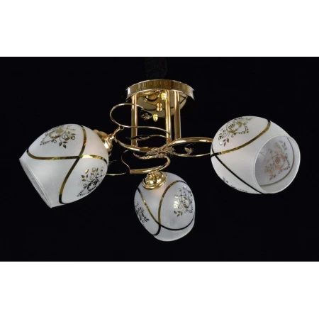 ДС-X8790/3 FGD (4) светильник потолочный [01078652]