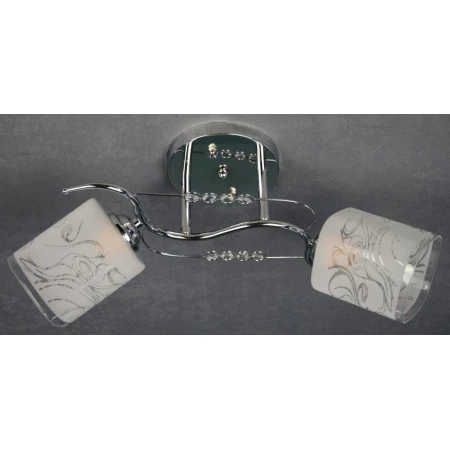 ДС9196/2 (6) CR светильник потолочный [01074975]