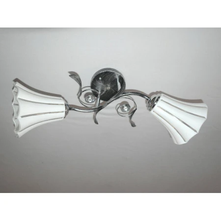 ДС7352C/2 CR+BS (6) светильник потолочный [01092345]