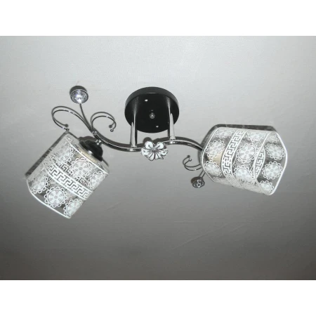 ДС7346B/2 CR+BK (6) светильник потолочный [01092315]