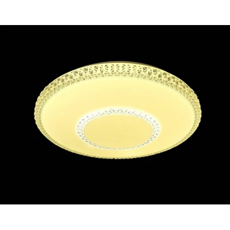 M1028/500-80-81W  (1)