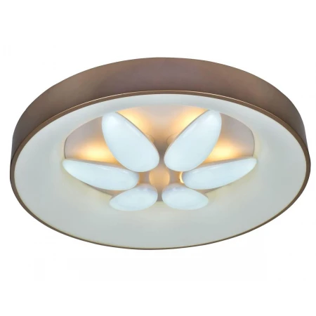 1209/780-192W  (1) - Настенно-потолочные Modern-Light