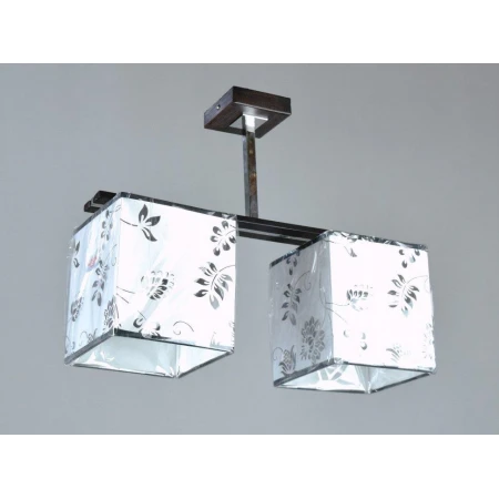Е10334/2 (2) светильник потолочный [01049386] - Люстры еврокаркас