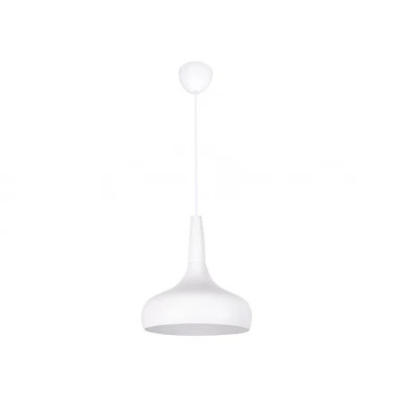 2523/1 WT - Подвесы