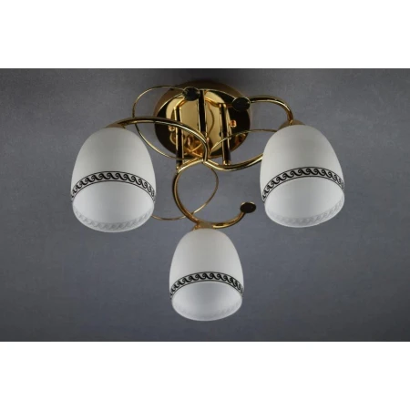 Щ5215/3 (4) FG светильник потолочный [01066705] - Эконом класс люстры