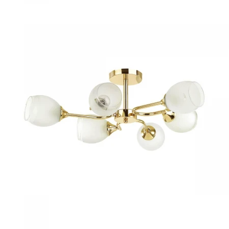 Потолочная люстра Lumion Jolene 4546/6C