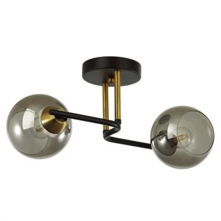 Светильник Lumion 5217/2C JANET