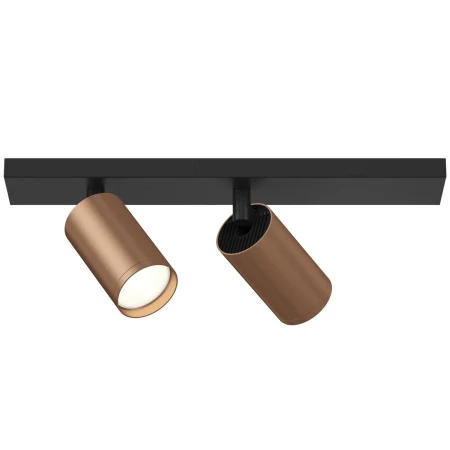 Точечный светильник Maytoni C051CL-02BC FOCUS S