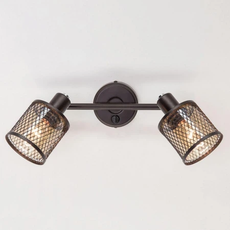 Спот Citilux CL535625 Робин