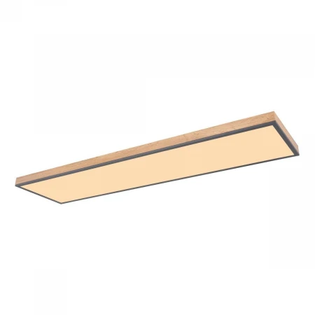 Потолочный светодиодный светильник Globo Doro 416080WD5