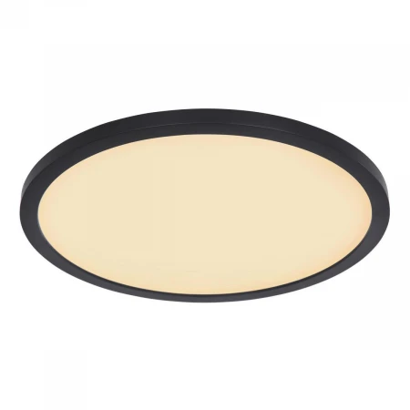 Потолочный светодиодный светильник Globo Sapana 41562-24B