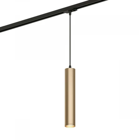 Трековый светильник Denkirs TUBE DK6210-BG