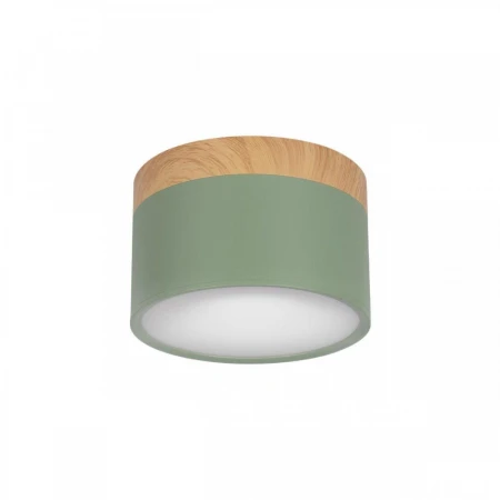 Накладной светодиодный светильник Loft IT Grape 10162 Green