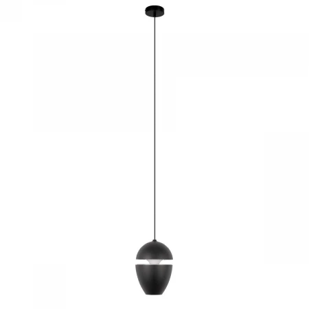 Подвесной светильник Loft IT Viterbo 10336 Black