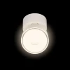 Спот Loft IT Focus 10323/A White