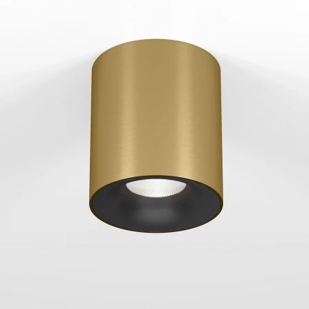 Потолочный светодиодный светильник Elektrostandard Primo 25116/LED a069414