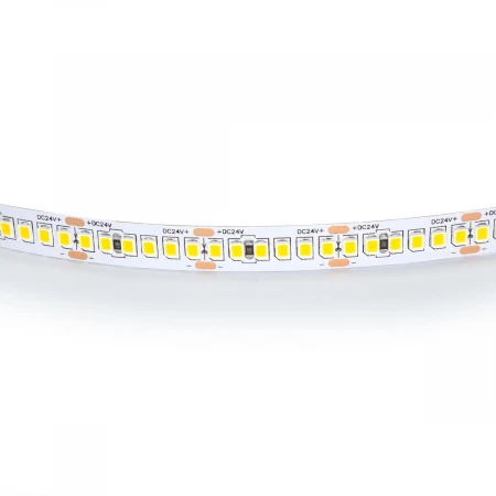 Светодиодная лента Lightstar 24W/m 240LED/m дневной белый 5M 421024