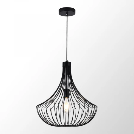 Подвесной светильник Lussole LSP-6025