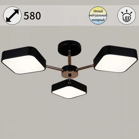 Светильник потолочный Reluce 03360-0.3-03 BK+FGD