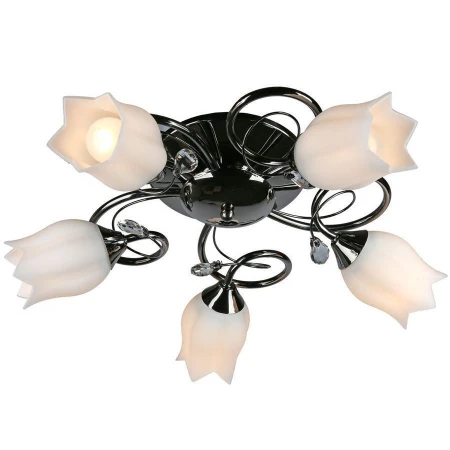 Люстра Omnilux OML-39707-05 Boston