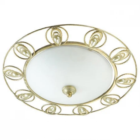 Светильник Odeon Light 3483/2C KANTI