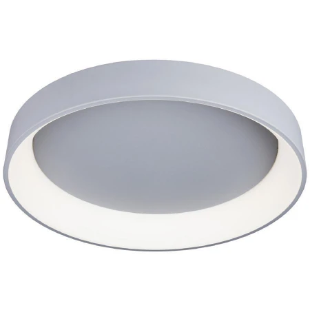 Светильник Omnilux OML-48517-96 Ortueri