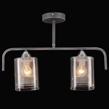 Светильник Natali Kovaltseva 75066/2C STAIN SILVER Hostalina