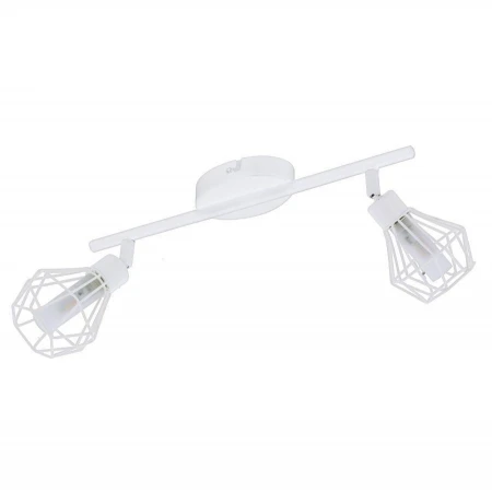 Спот Eglo 98049 ZAPATA