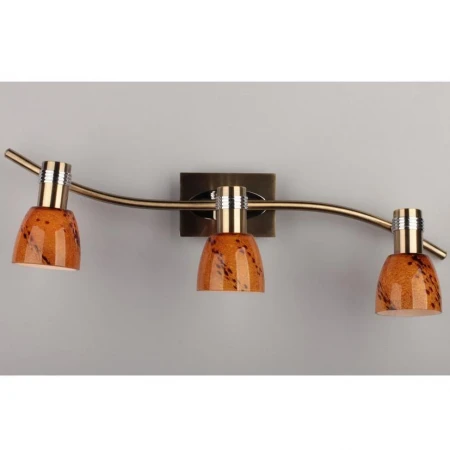 Спот Omnilux OML-22001-03