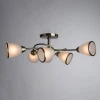 Потолочная люстра Arte Lamp 3 A6059PL-6AB