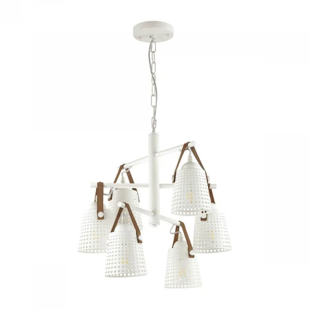 Подвесная люстра Lumion Renata 3640/6